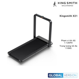 Kingsmith X21